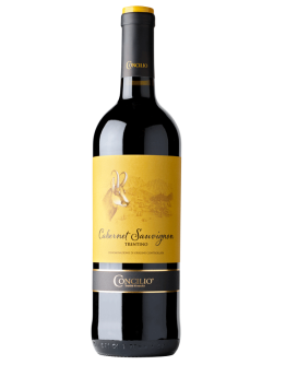 6 Cabernet Sauvignon Trentino D.O.C