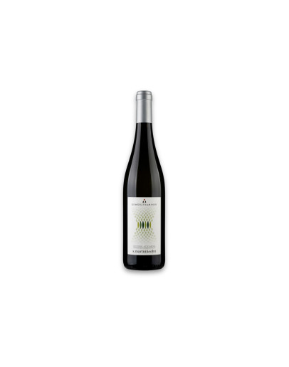 Martini & Sohn Alto Adige Gewürztraminer Doc 2025