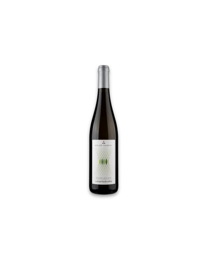 Martini & Sohn Alto Adige Müller-Thurgau Doc 2024