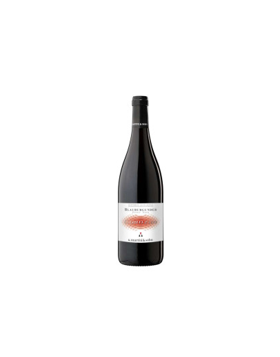 Martini & Sohn Vigneti delle Dolomiti Rosso Igt Blauburgunder 2024
