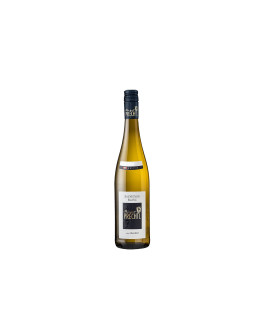 Prechtl Niederösterreich Qualitätswein Ried Altenfeld Sauvignon 2024