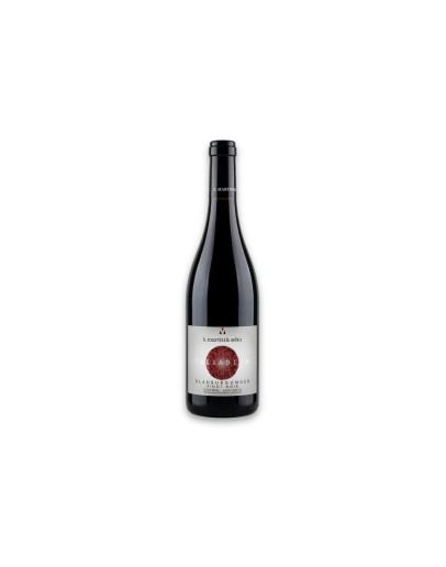 Martini & Sohn Alto Adige Pinot Nero Doc Blauburgunder Palladium 2023