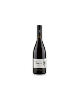 Zanotelli Trentino Doc Lagrein Le Strope 2025