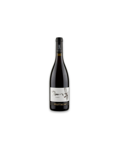 Zanotelli Trentino Doc Lagrein Le Strope 2025