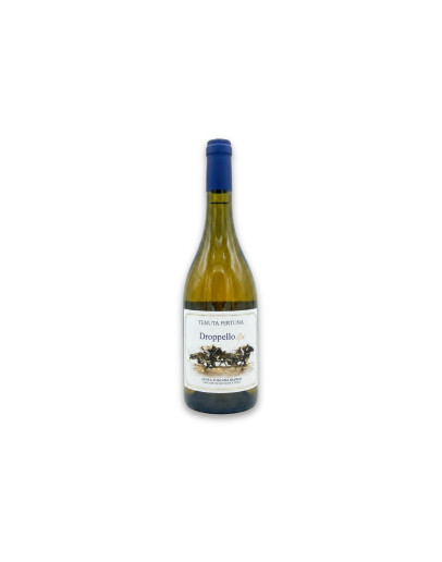 Tenuta Fertuna Costa Toscana Bianco Igt Droppello Alto 2022