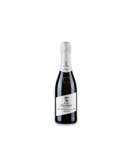 Progress Country & Wine House Asolo Prosecco Superiore Docg Col d'Acelum Extra Dry