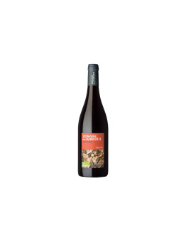 Domaine des Hardières Anjou Villages Aoc Les Étendards 2021