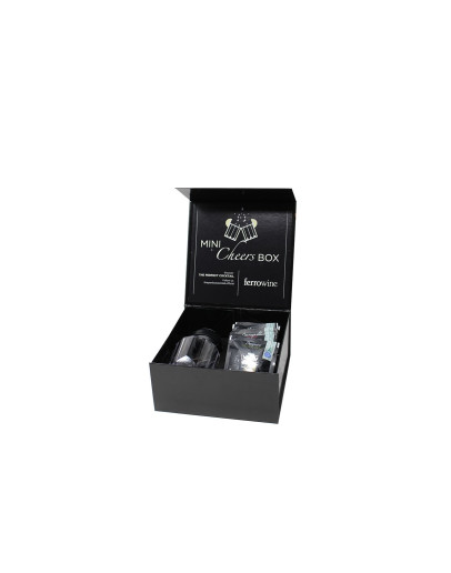 The Perfect Cocktail Mini Cheers Box