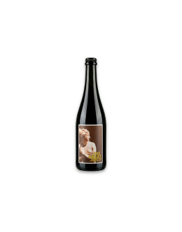 Su.Na.Wi. Benaco Bresciano Bianco Frizzante Igt Riesling The Great Juicy 2022