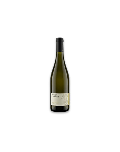 Weingut Abraham Vigneti delle Dolomiti Bianco Igt Weissburgunder In der Lamm 2023