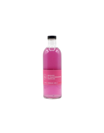 Gin Pink Opificio Trasformazione Alcolica