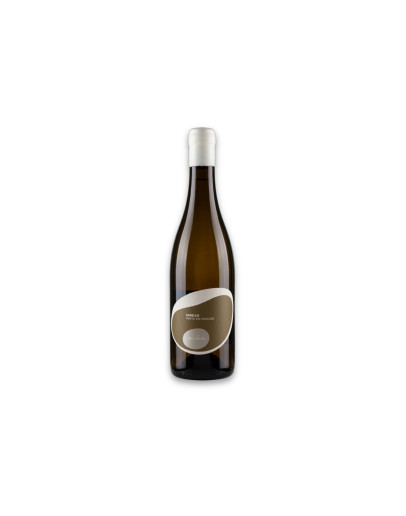 Pepe Raventòs Vino Blanco de España Xarel·lo Vinya del Noguer 2019