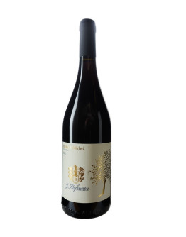 Hofstatter Pinot Nero Michei di Michei 2021-2022 75 cl