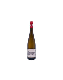 Heiligenblut Rheinhessen Qualitätswein Melaphyr Weinheimer Riesling 2023