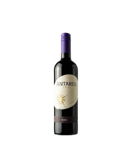 Antares Merlot Cileno 2019 75 cl