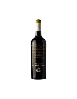 COTTANERA SOLE DI SESTA SYRAH 2016-2019