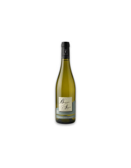 Sorin-Coquard Bourgogne Aligoté Aoc 2025