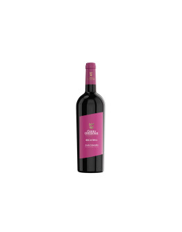 Progress Country & Wine House Asolo Montello Recantina Doc Cento Orizzonti 2021