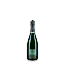 Doyard-Mahé Champagne Premier Cru Aoc Hommage Vert Blanc de Blancs Brut Nature