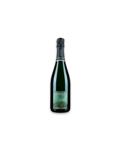 Doyard-Mahé Champagne Premier Cru Aoc Hommage Vert Blanc de Blancs Brut Nature