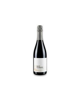 Ménard-Gaborit Vin Mousseux de Qualité Nuit Blanche Brut