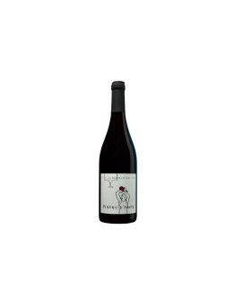 Vini Be Good Les Athlètes du Vin Vin de France Pineau D'Aunis VSIG 2024