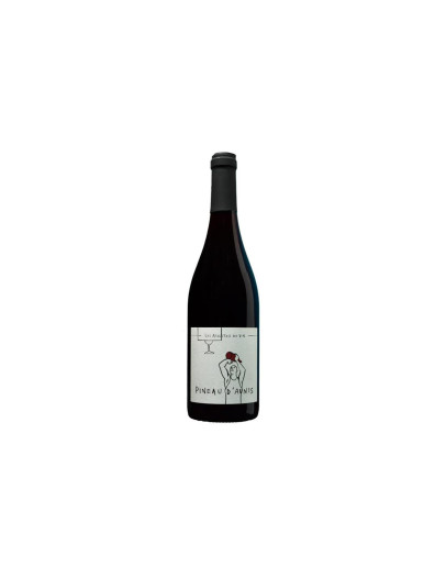 Vini Be Good Les Athlètes du Vin Vin de France Pineau D'Aunis VSIG 2024