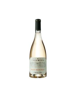 MICHAEL FALLWIND PINOT NERO ROSE' 2024