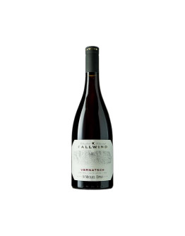 MICHAEL FALLWIND SCHIAVA-VERNATSCH 2024