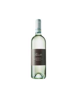 PRUNOTTO LANGHE ROERO ARNEIS DOC 2023