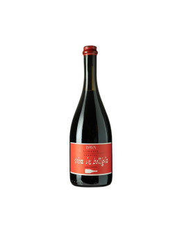BAVA BARBERA VIVA FRIZZANTE 2020