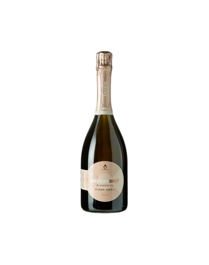 COCCHI PINOT NERO SPUMANTE ROSE'