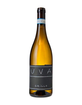 DEL GRILLO GRILLO 2023-2024