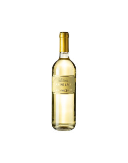 ANSELMI SAN VINCENZO 2025