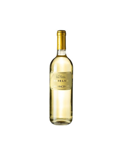 ANSELMI SAN VINCENZO 2025