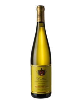 SCHIOPETTO MALVASIA 2021-2022