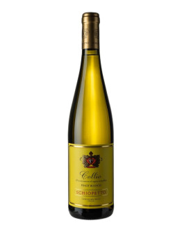 SCHIOPETTO PINOT BIANCO 2021-2022