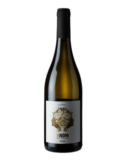 DESCREGUT VINOMI BANCO 2022