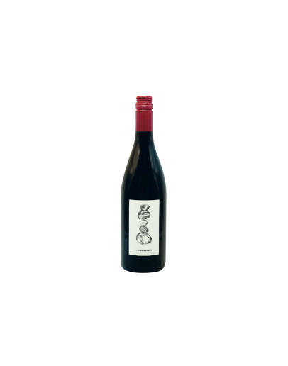 Thomas Conzato Veneto Rosso Igt Merlot Vigna Barbai 2022