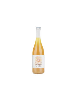 Le Quattro Volte Vino Bianco Frizzante Colbotto Sans Année