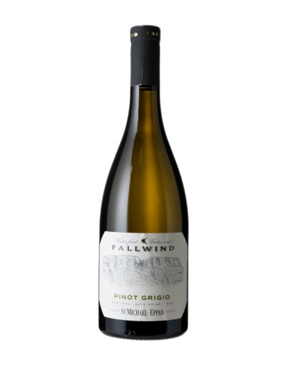 MICHAEL FALLWIND PINOT GRIGIO 2024