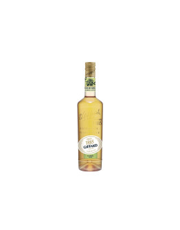 Giffard Bevanda Analcolica Fleur de Sureau Alcohol Free