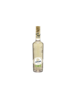 Giffard Bevanda Analcolica Gingembre Alcohol Free