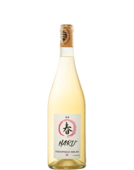 Haru Blanc 2024