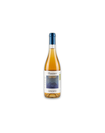 Hauner Terre Siciliane Bianco Igt Iancura 2024