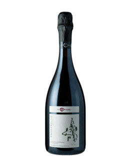 LE ORIGINI PASSANELLO LAMBRUSCO GRASPAROSSA DI CASTELVETRO