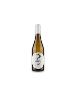 Gigante Friuli Colli Orientali Friulano Doc Slalom Gigante Friulano 20 Biotipi 2023