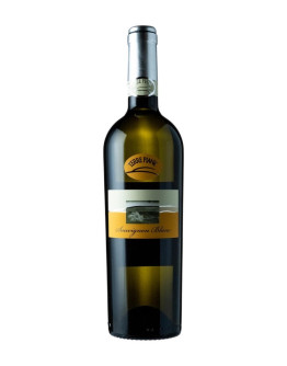 TERRE PIANE SAUVIGNON BLANC 2022