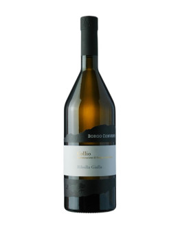 BORGO CONVENTI SAUVIGNON COLLIO  2023
