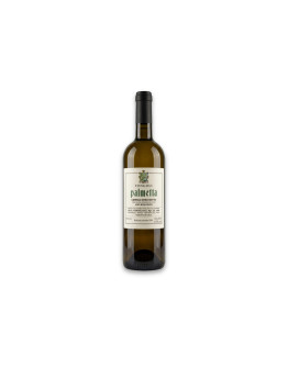Fongoli Umbria Bianco Igt Grechetto Palmetta 2023